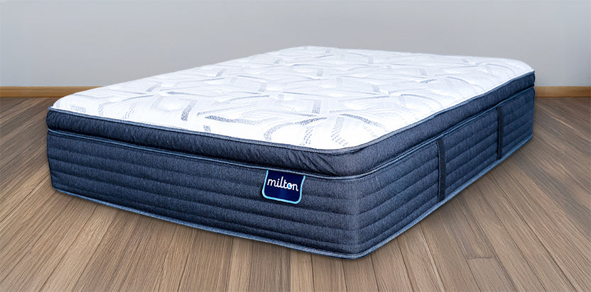 blue_Plush Pillow Top