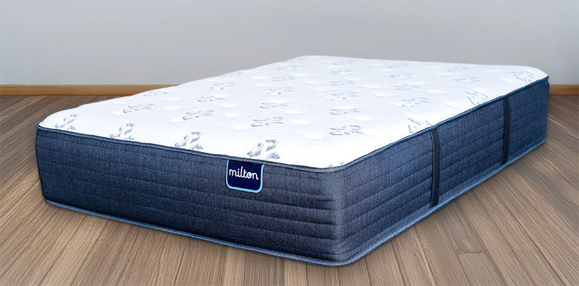 blue_Plush