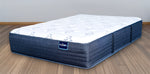 Load image into Gallery viewer, blue_Plush
