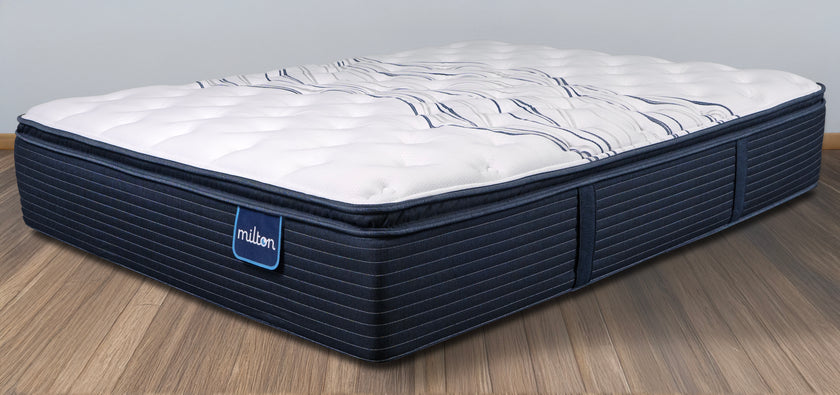 The Sleep Company Mattress Plus Near Me The Sleep Company Bed And