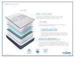 Load image into Gallery viewer, Lometa_Plush
